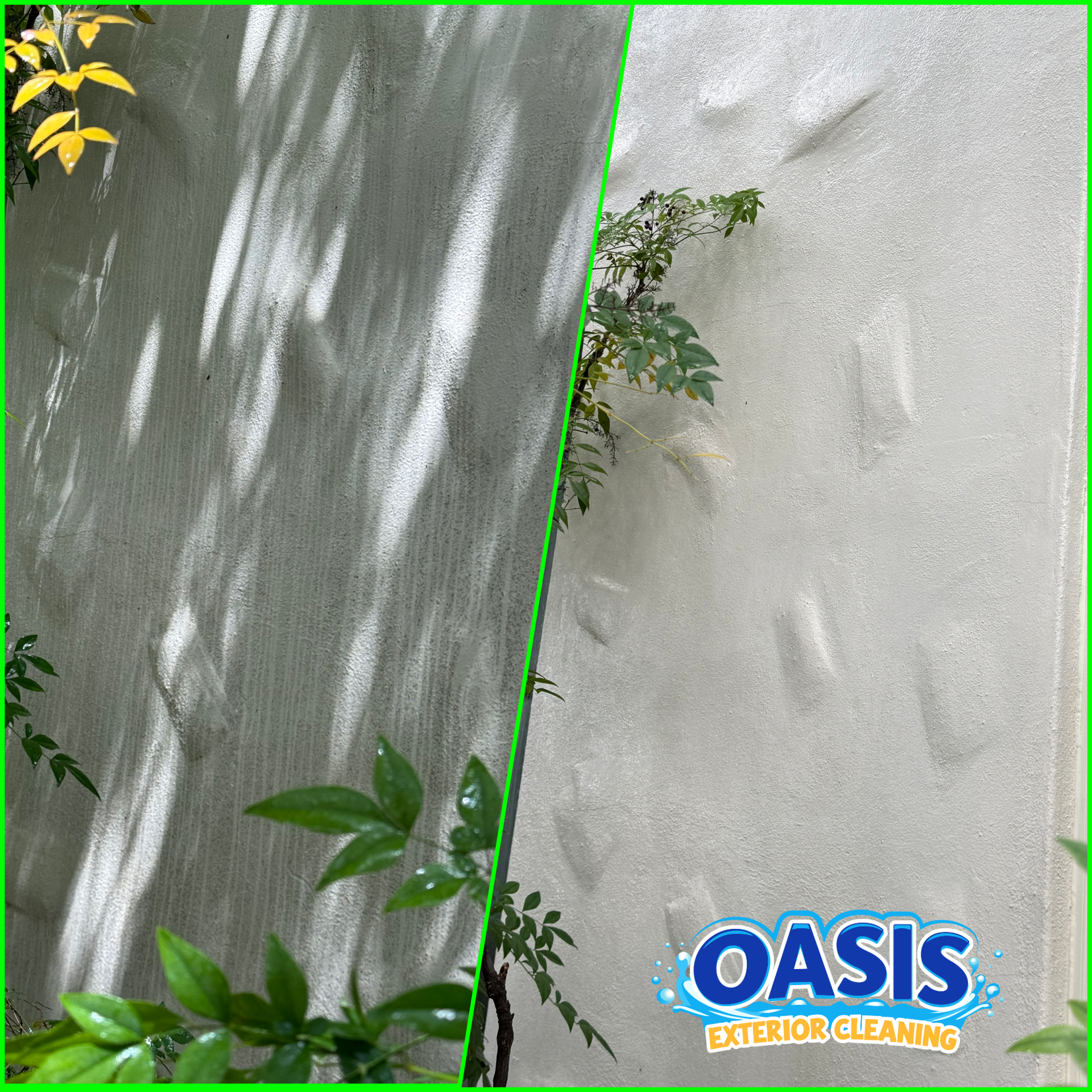 House Soft Wash